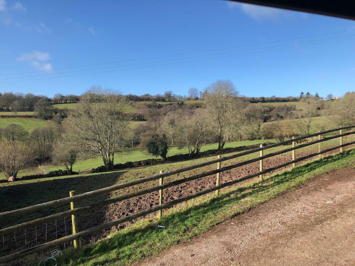Welsh Marches At Upper Glyn Farm *